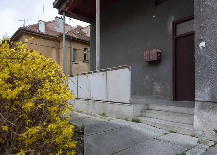 Modern Studio Near British Square